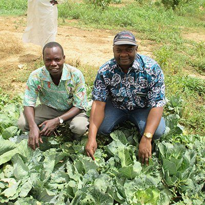 Two men kneel among leafy green plants in a field, showcasing their agricultural work and engagement with farming.